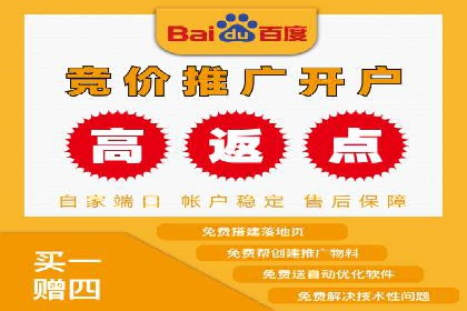 案例分析：百度竞价广告投放技巧